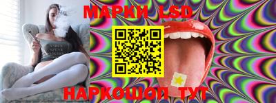 гидропоника Краснодар