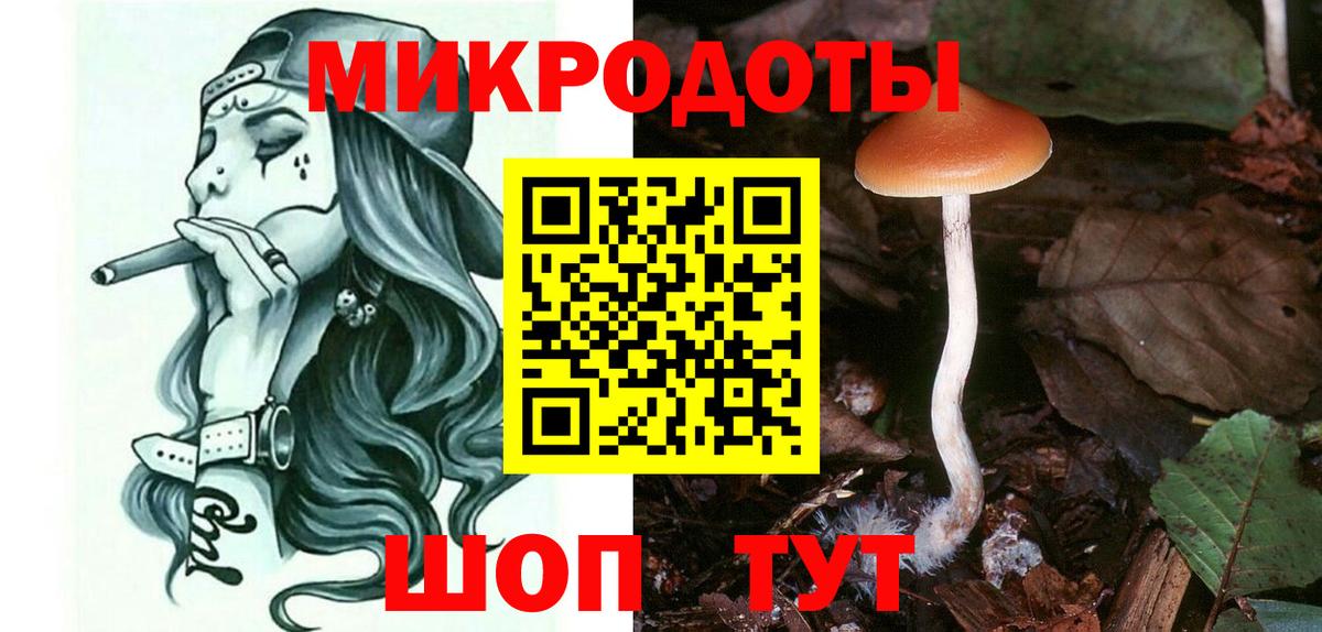 Галлюциногенные грибы GOLDEN TEACHER Красноармейск